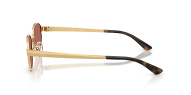 Ray-Ban 0RB 3774D 001/69 55 Kadın Güneş Gözlüğü