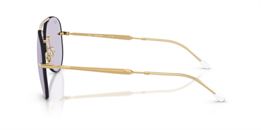 Ray-Ban 0RB 3791 001/MH 59 Unisex Güneş Gözlüğü