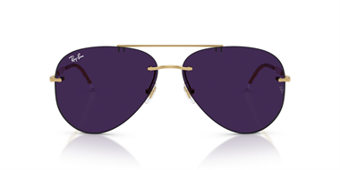 Ray-Ban 0RB 3791 001/MH 59 Unisex Güneş Gözlüğü
