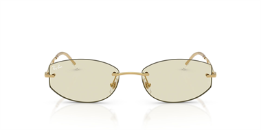 Ray-Ban 0RB 3792 001/MG 55 Kadın Güneş Gözlüğü