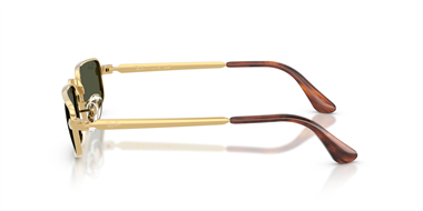 Ray-Ban 0RB 3927 001/31 54 Unisex Güneş Gözlüğü