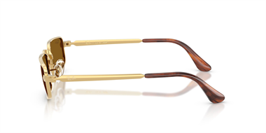 Ray-Ban 0RB 3927 001/33 54 Unisex Güneş Gözlüğü