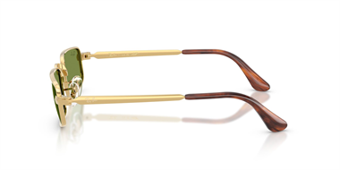 Ray-Ban 0RB 3927 001/4E 54 Unisex Güneş Gözlüğü