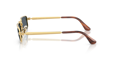 Ray-Ban 0RB 3927 001/R5 54 Unisex Güneş Gözlüğü