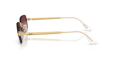 Ray-Ban 0RB 3928 001/8H 54 Unisex Güneş Gözlüğü