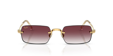 Ray-Ban 0RB 3928 001/8H 54 Unisex Güneş Gözlüğü