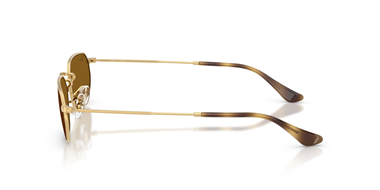 Ray-Ban 0RB 3947 001/33 54