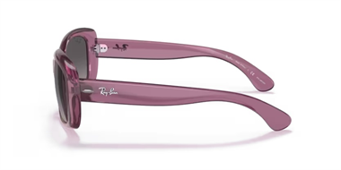 Ray-Ban 0RB 4101 6591/M3 58