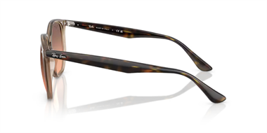 Ray-Ban 0RB 4306 6788/46 54