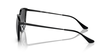 Ray-Ban 0RB 4333D 601/8G 55