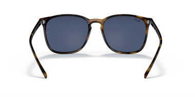 Ray-Ban 0RB 4387 710/80 56