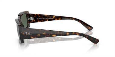 Ray-Ban 0RB 4395 1359/71 54