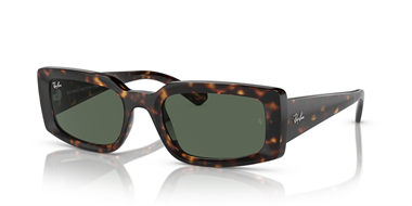 Ray-Ban 0RB 4395 1359/71 54