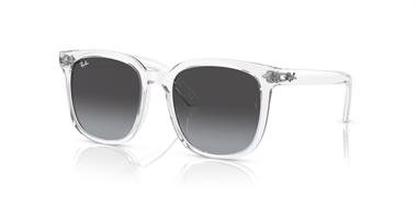 Ray-Ban 0RB 4401D 6447/8G 57