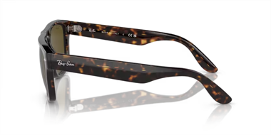 Ray-Ban 0RB 4407 1359/73 57