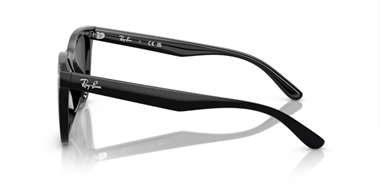 Ray-Ban 0RB 4420 601/87 65