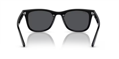 Ray-Ban 0RB 4420 601/87 65