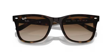 Ray-Ban 0RB 4420 710/13 65