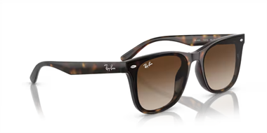 Ray-Ban 0RB 4420 710/13 65