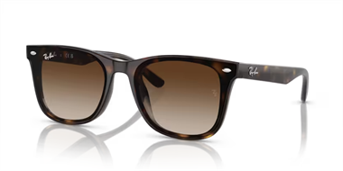 Ray-Ban 0RB 4420 710/13 65