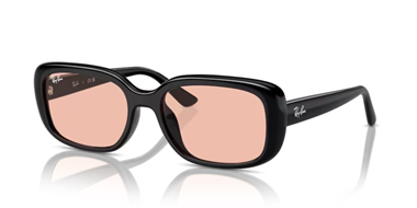 Ray-Ban 0RB 4421D 6677/84 56