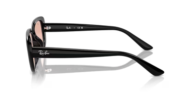 Ray-Ban 0RB 4421D 6677/84 56