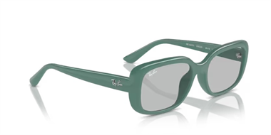 Ray-Ban 0RB 4421D 6677/87 56