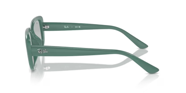 Ray-Ban 0RB 4421D 6677/87 56