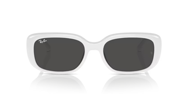 Ray-Ban 0RB 4421D 6772/87 56