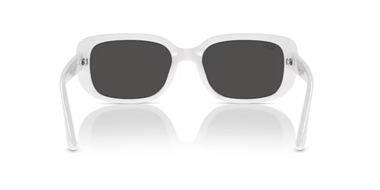 Ray-Ban 0RB 4421D 6772/87 56