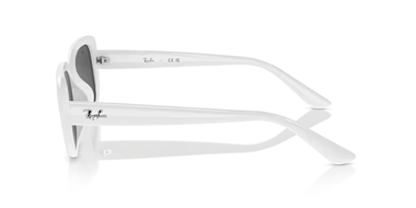 Ray-Ban 0RB 4421D 6772/87 56