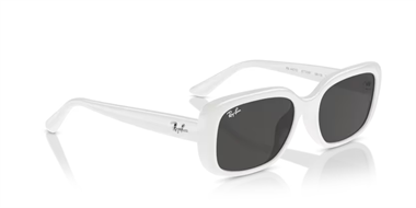 Ray-Ban 0RB 4421D 6772/87 56