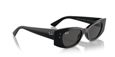 Ray-Ban 0RB 4427 6677/87 49