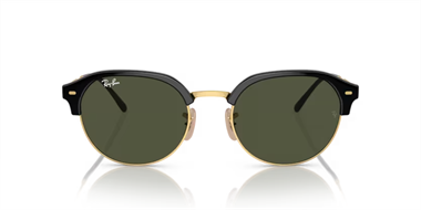 Ray-Ban 0RB 4429 601/31 55