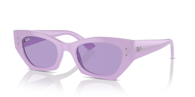 Ray-Ban 0RB 4430 6758/1A 52