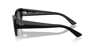 Ray-Ban 0RB 4430 Zena 6677/81 49