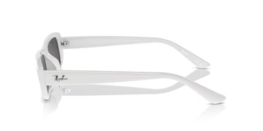 Ray-Ban 0RB 4436D 6772/87 55