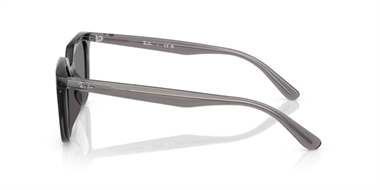 Ray-Ban 0RB 4439D 6675/87 54