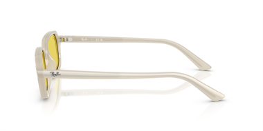 Ray-Ban 0RB 4455 Zuri 6808/6D 52