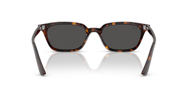 Ray-Ban 0RB 4456 Zaya 1359/87 53