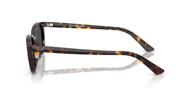 Ray-Ban 0RB 4456 Zaya 1359/87 53
