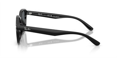 Ray-Ban 0RB 4458D 601/81 65 Unisex Sunglasses