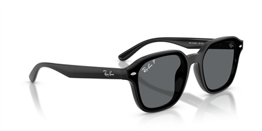 Ray-Ban 0RB 4458D 601/81 65 Unisex Sunglasses