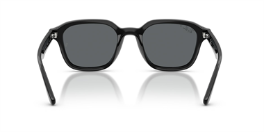 Ray-Ban 0RB 4458D 601/81 65 Unisex Sunglasses