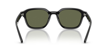 Ray-Ban 0RB 4458D 601/9A 65