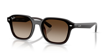 Ray-Ban 0RB 4458D 714/13 65