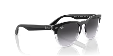 Ray-Ban 0RB 4471 6630/8G 54