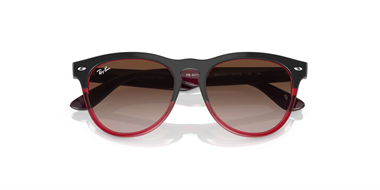 Ray-Ban 0RB 4471 6631/13 54