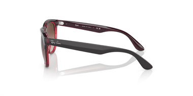 Ray-Ban 0RB 4471 6631/13 54