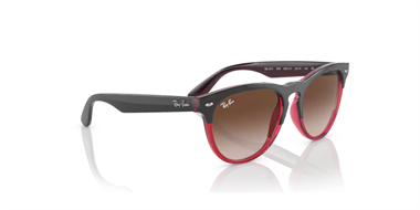 Ray-Ban 0RB 4471 6631/13 54